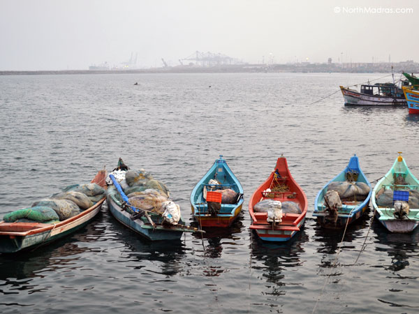 Boats are back to the shore with a good catch. Chennai harbour is seen on the background. 