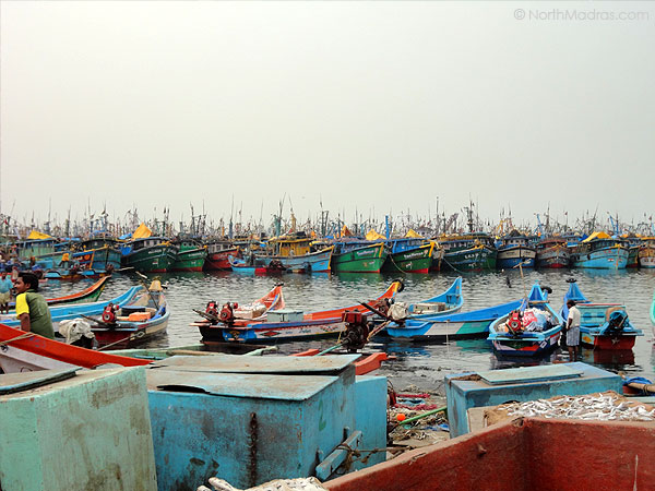 1000s of boat are in this Kasimedu Fishing Harbour, so you could see boating going up and coming up all around the clock